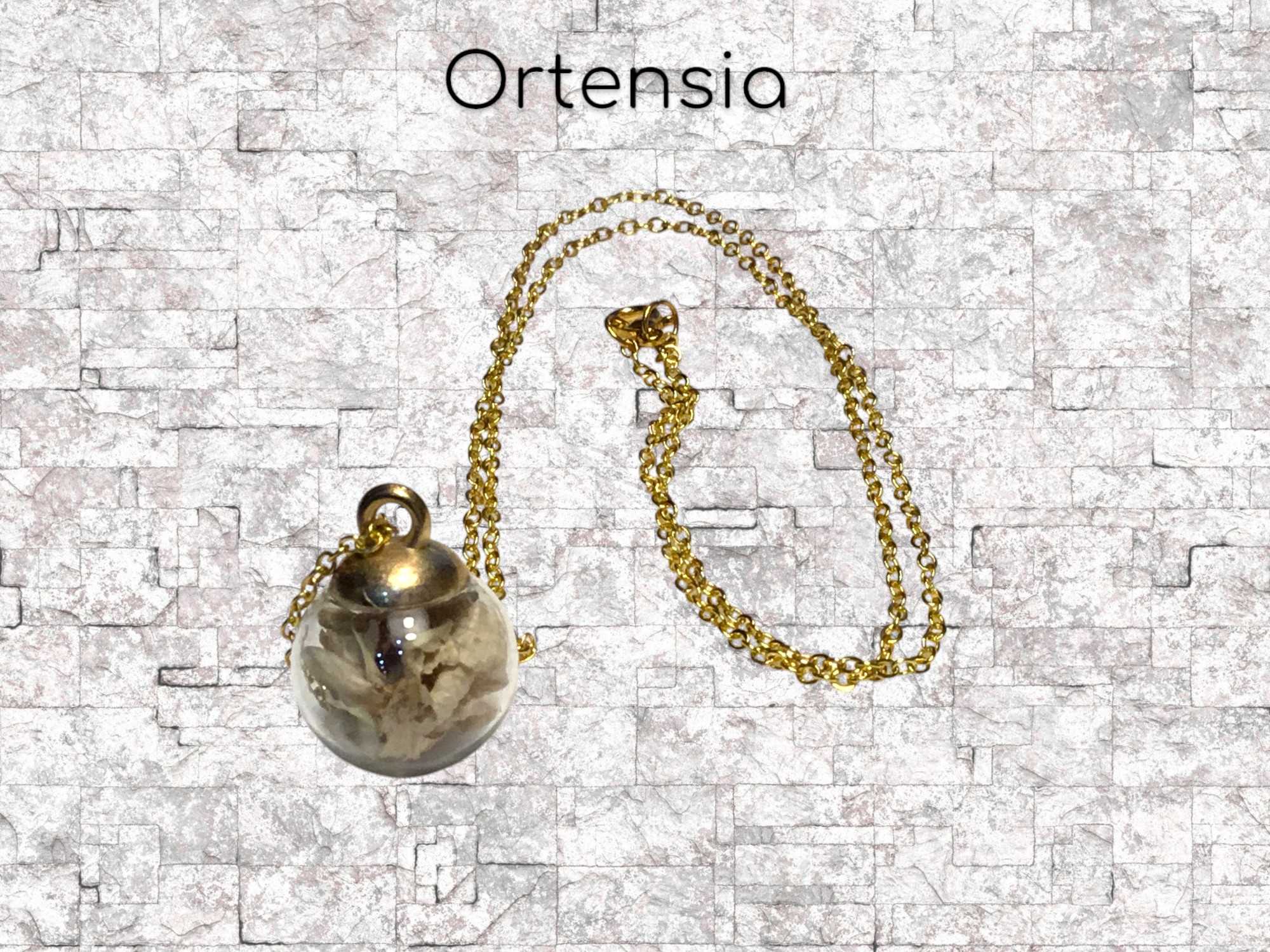 ORTENSIA
