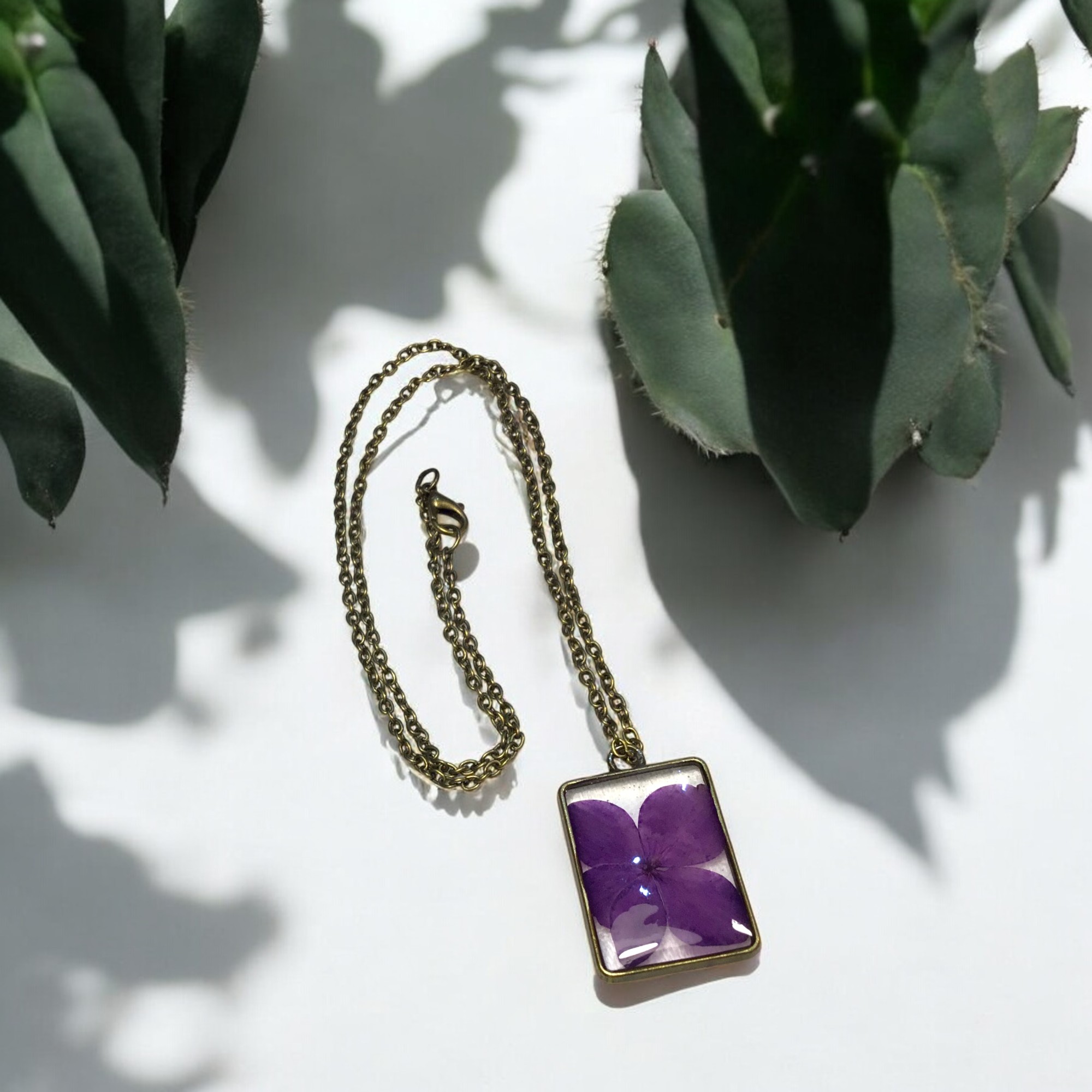 VIOLETTA